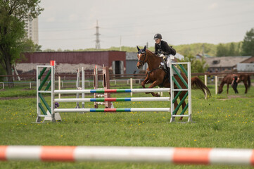 A young girl goes in for horse riding. A horse jumps over a barrier.