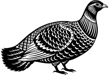  Greater Sage-Grouse white background