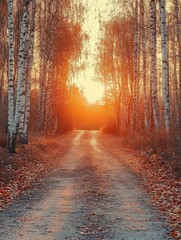 Naklejka premium A serene sunset along a tree-lined gravel path in autumn