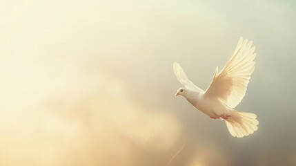 Fototapeta premium A serene white dove in flight against a soft, ethereal background.