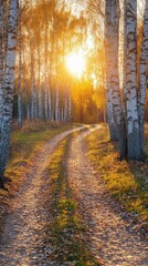 Obraz premium Autumn sunset over a winding dirt path lined with birch trees