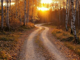 Obraz premium Golden sunset illuminates winding road through autumn forest