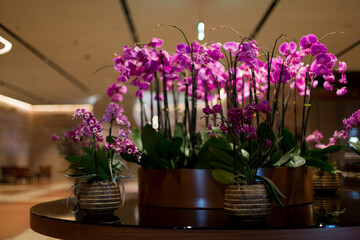 Decorative purple orchid flower arrangement on a table. Depth of field and blur is done intentionally