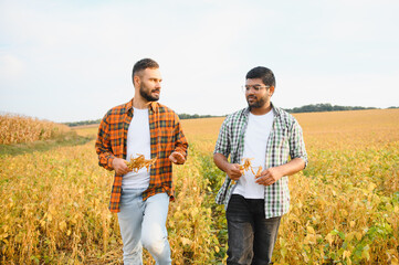 Portrait of two farmers in a soy field