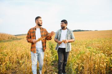 Two farmers walking in soybean field.