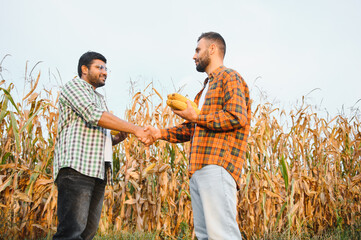 handshake farmer corn. business a partnership agriculture concept. agriculture business handshake...