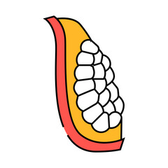 pomegranate cut ripe slice line icon vector. pomegranate cut ripe slice sign. isolated symbol illustration