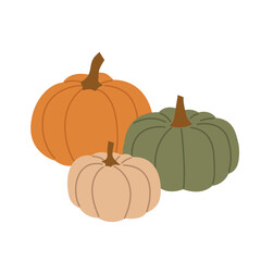 set of different colorful autumn pumpkins- vector illustration