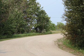 country gravel road through trees curving to the right