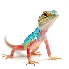 Obraz premium Brightly Colored Lizard with Long Tail in Eye Catching Nature Photography Scene picture