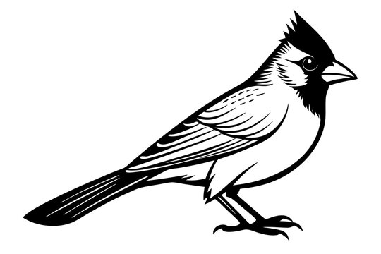 recommend clip art: cardinal bird vector illustration black silhouette flat style profile side