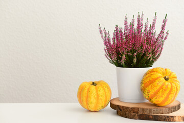 Autumn still life with pumpkins and heather flowers on white background