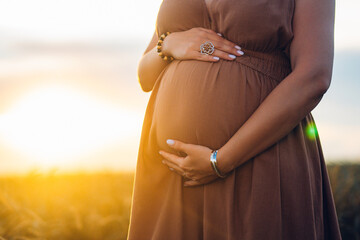 Pregnant Woman Caressing Belly On Wheat Natural Field Background. Expectant Time
