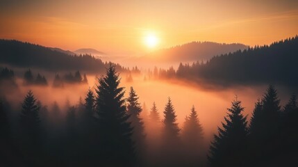 Obraz premium Silhouetted Pine Trees at Sunrise Over a Misty Mountain Valley