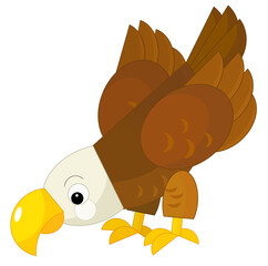 Cartoon bird eagle flying forest animal isolated illustration for children