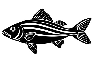 fish isolated on white background