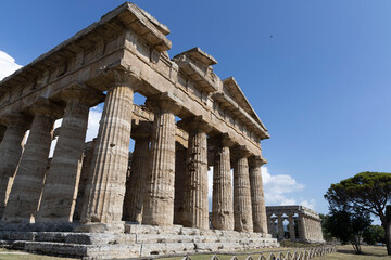 Fototapeta premium Paestum archaeological park, view of the temple of Neptune and Athena