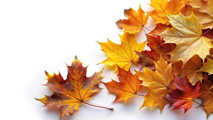 Fototapeta premium Autumn leaves arranged in a frame on white background, slightly tilted angle