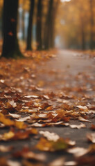 In the autumn season leaves are blank covering the ground and the wind blows them up vertical