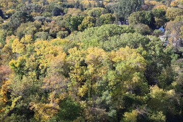 autumn colors in full splendor viewed from above