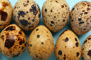 Fresh quail eggs on blue background