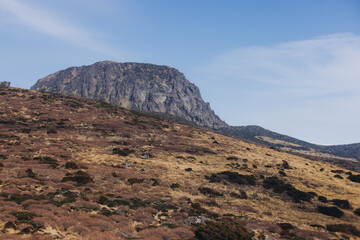 Fototapeta premium Hallasan National Park, Jeju island, South Korea, spring landscape view of Yeongsil trail, Halla volcano peak, trekking and climbing to Halla mountain, travel and hiking in Korea, Jeju-do, sunny day