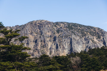 Hallasan National Park, Jeju island, South Korea, spring landscape view of Yeongsil trail, Halla volcano peak, trekking and climbing to Halla mountain, travel and hiking in Korea, Jeju-do, sunny day