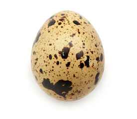Fresh quail egg on white background