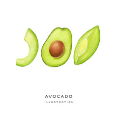 Illustration of avocado set, depicted in a realistic style and isolated on a white background. Hand drawing illustration. 