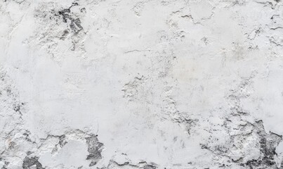 Light Grey Concrete Texture Background. Premium White Banner with copy-space
