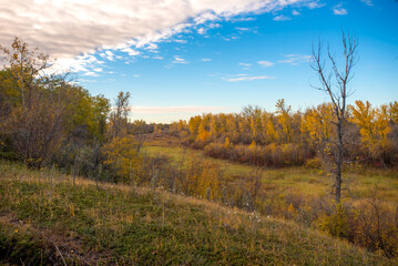 Fototapeta premium Autumn at Cranberry Flats Conservation Area