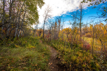 Autumn at Cranberry Flats Conservation Area