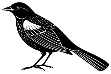 Red-winged Blackbird silhouette vector illustration