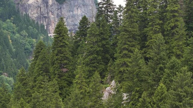 Sumela Monastery (S&uuml;mela Manastırı) Drone Video, Altındere National Park Ma&ccedil;ka, Trabzon Turkiye (Turkey)	