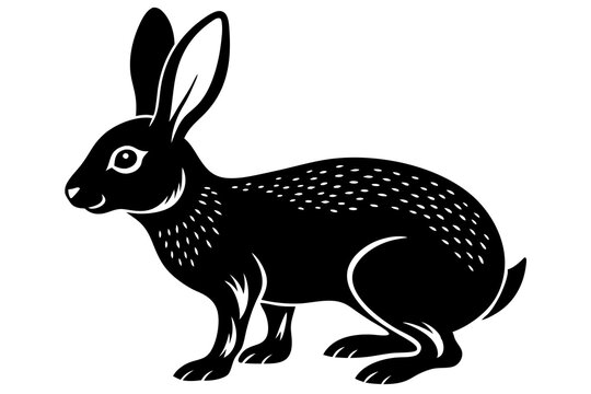 Snowshoe Hare silhouette vector illustration
