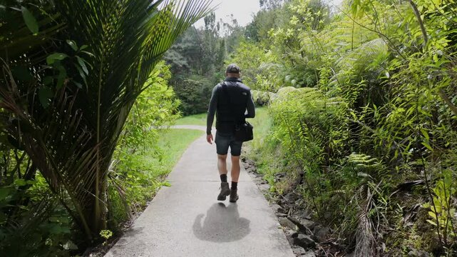 Man walking on a hiking trail in the forest. The Cascade Kauri Walk, Waitakeres, Auckland, New Zealand.