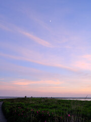 Obraz premium 夕方の野付半島