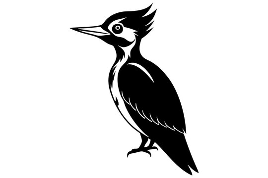 recommend clip art: Pileated Woodpecker silhouette vector illustration