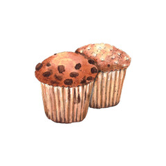 Watercolor muffin sketch. Bakery, cafe, food. 
