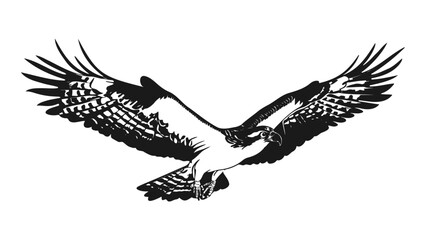 osprey silhouette illustration - 1-colo isolated
