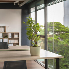 Japandi, minimalist loft interior design of modern office room.