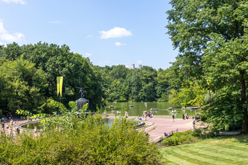 A peaceful path in tree-filled Central Park in New York City.