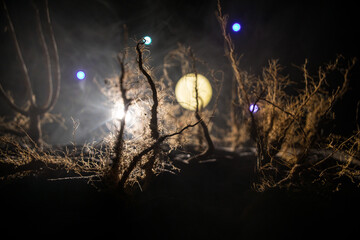 Spooky dark landscape showing silhouettes of trees in the swamp on misty night.