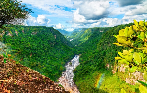 Fototapeta The Potaro river valley under Kaieteur Falls in the Amazon rainforest of Guyana, South America