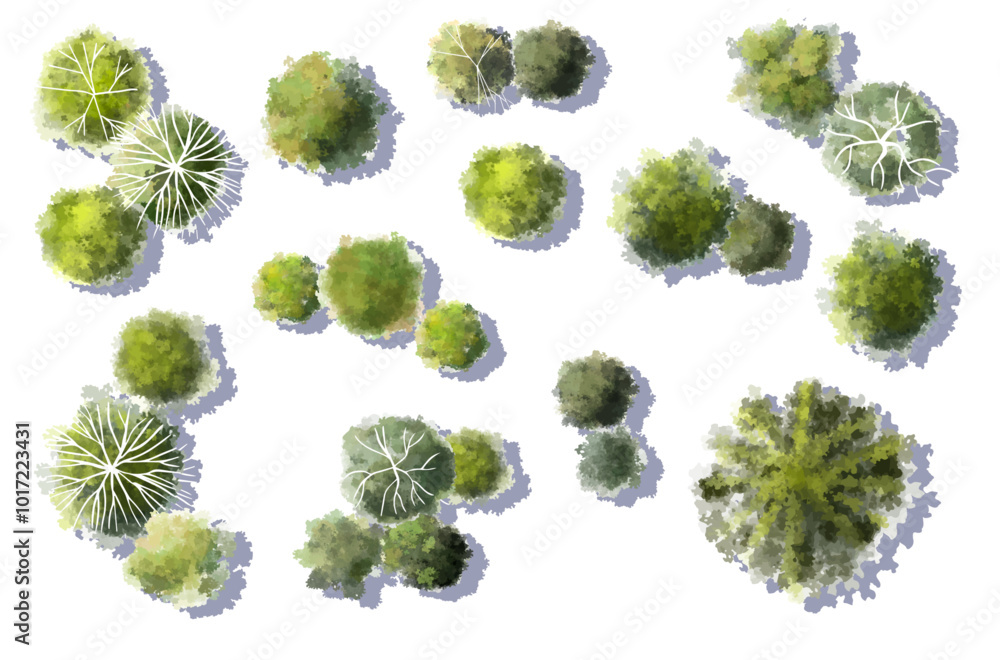 Poster Vector tree top view isolated on white background for landscape plan and architecture layout drawing, elements for environment and garden