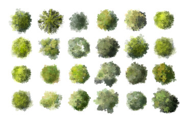 Vector tree top view isolated on white background for landscape plan and architecture layout...