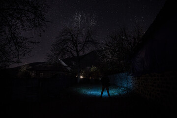 Old house with a Ghost in the forest at misty night or Night scene with House under moon. Old mystic building in dead tree forest.