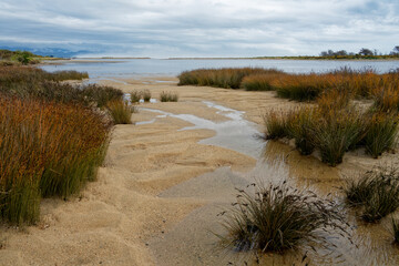 Karamea estuary walkway looking south along the coast, Karamea West Coast region, New Zealand.