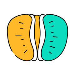 peeled tangerine slice line icon vector. peeled tangerine slice sign. isolated symbol illustration