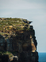 rock cliff edge along the headland with the sea in the background and heath vegetation growing